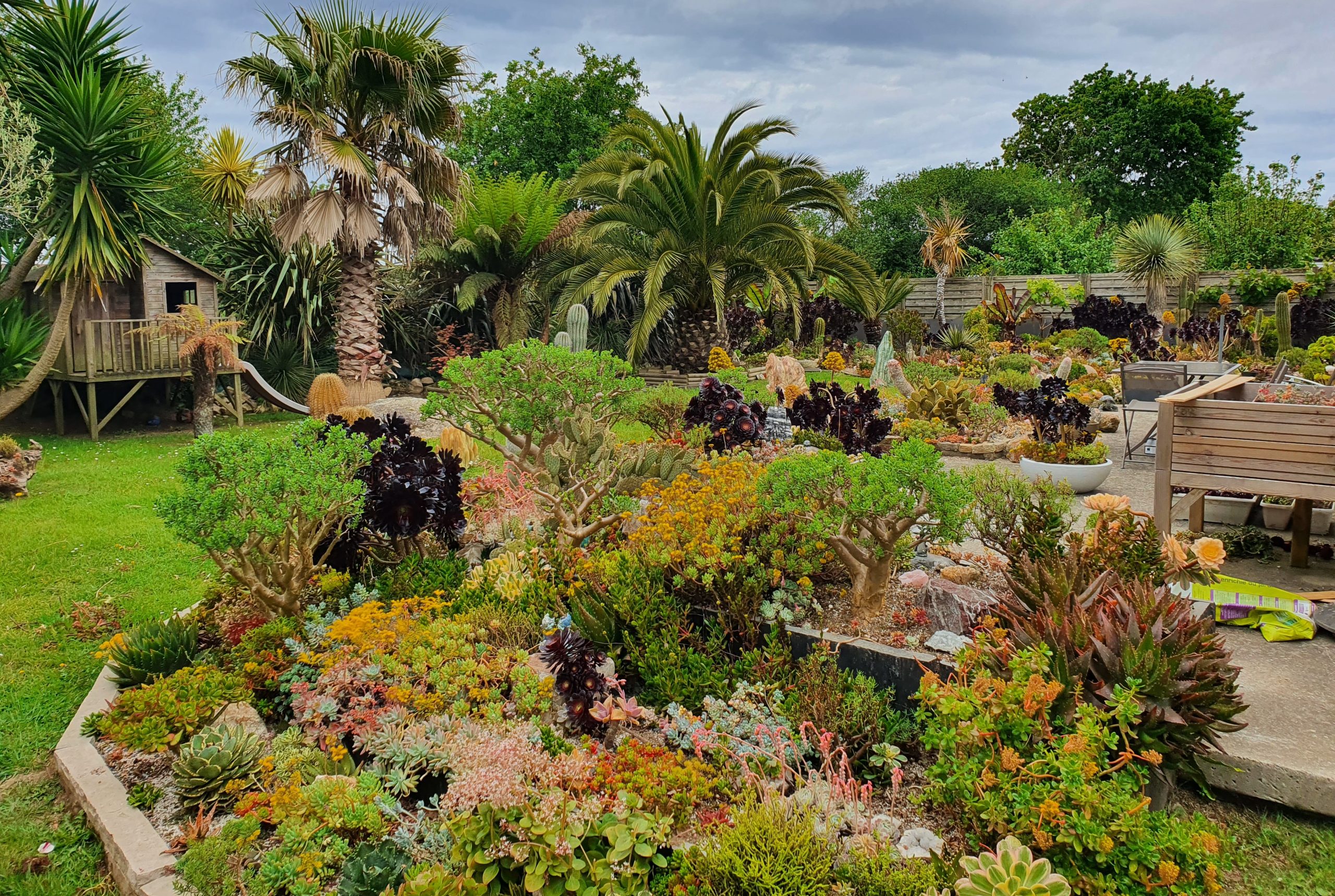 Aperçu du jardin de Guy